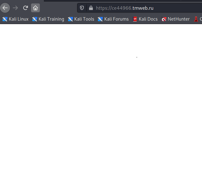 DHL Phishing Site
